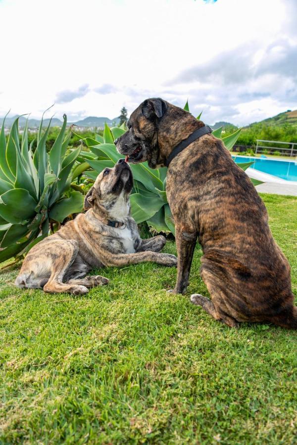Casa da Bela Vista Villa Lagoa  Bagian luar foto